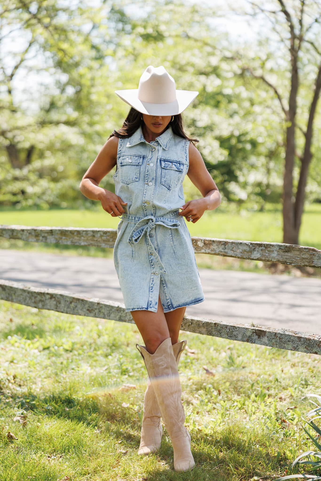 Dakota Line Denim Dress