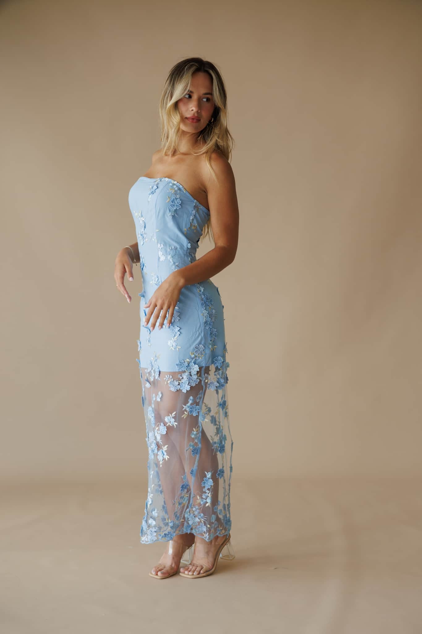 Garden Gala Mesh Dress