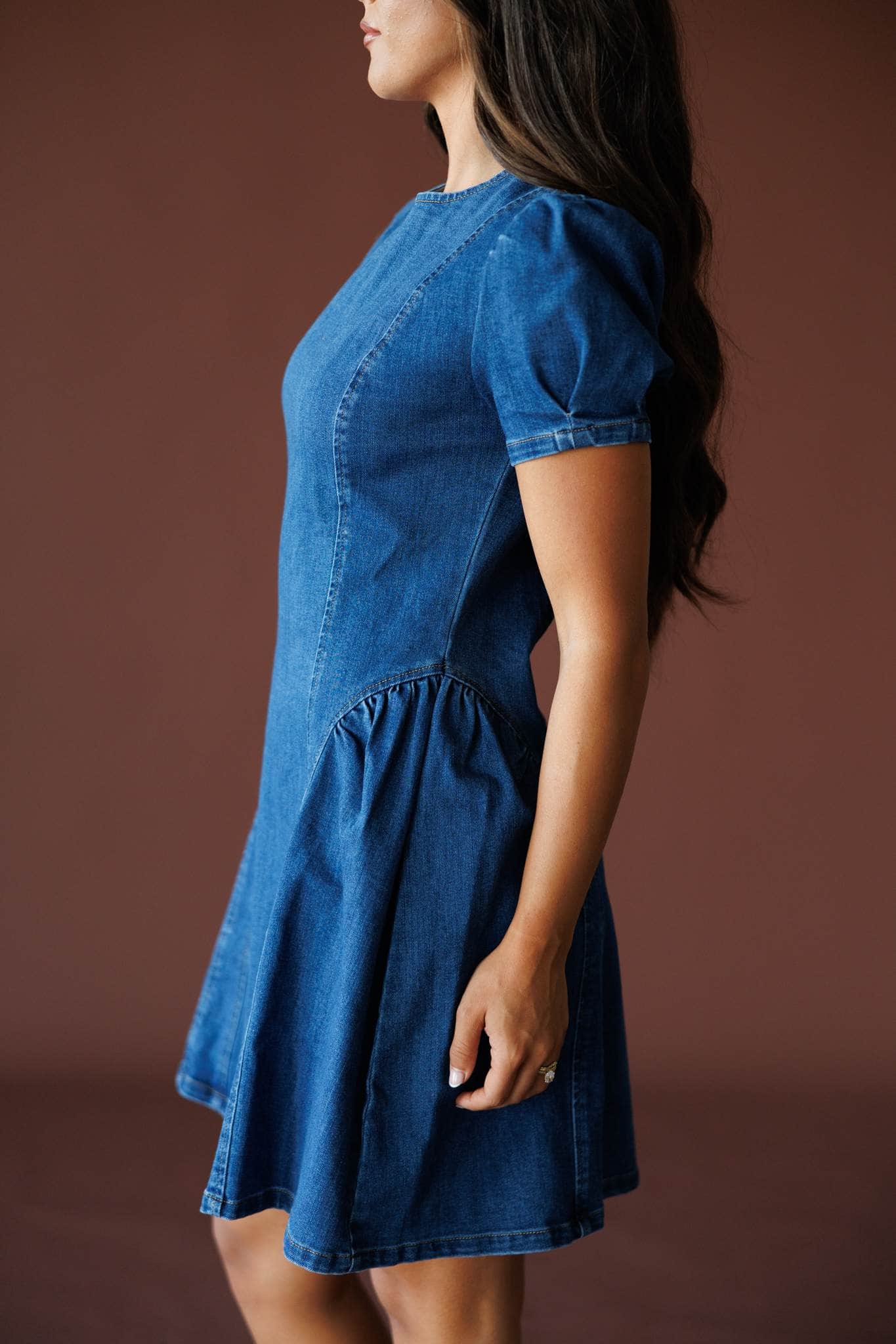 Good Genes Denim Dress