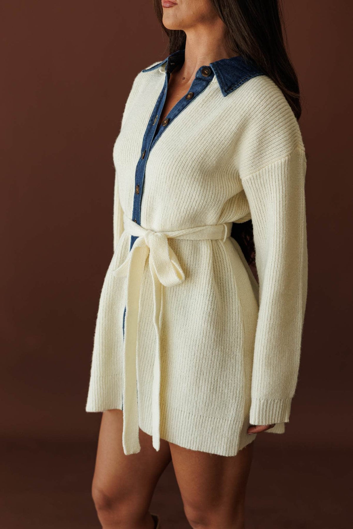 Varsity Collar Sweater Dress, side view of the balloon sleeve